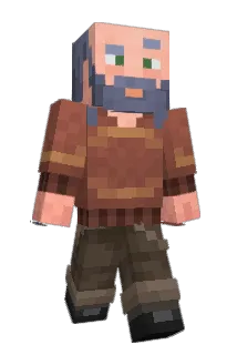 Fraaaanck Minecraft avatar full body