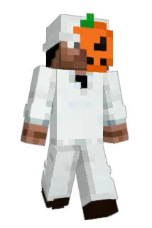 Minecraft-Avatar von FragileSxlnce_: ganzer Körper
