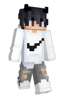 Frameflag Minecraft avatar full body