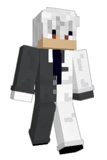 Framerunner Minecraft avatar full body
