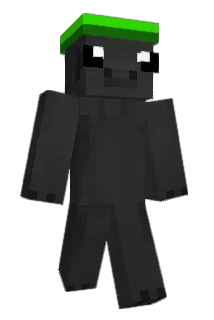 Fran_szw Minecraft avatar full body