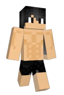 Franco310 Minecraft avatar full body