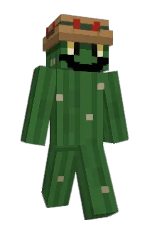 Francus_Lizu Minecraft avatar full body