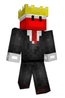 Franek5208 Minecraft avatar full body