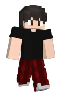 Franek_66 Minecraft avatar full body