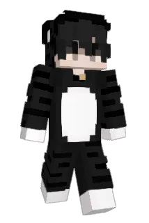 Franky907_ Minecraft avatar full body