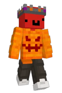 Frannzzzzz Minecraft avatar full body