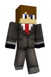 Franset Minecraft avatar full body