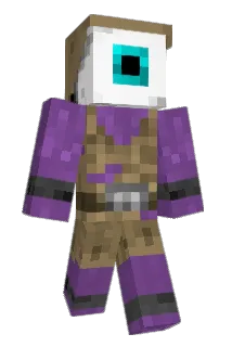 Franzen Minecraft avatar full body