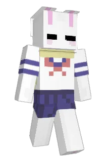 Frauwin Minecraft avatar full body