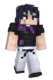 Freakbag1 Minecraft avatar full body