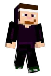FreeLife Minecraft avatar full body