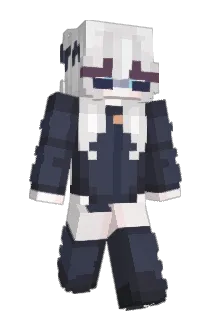 FreedomForAll Minecraft avatar full body