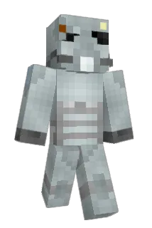FreedomRider08 Minecraft avatar full body