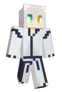 FreezeHe Minecraft avatar full body