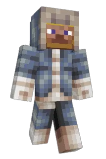 Freezingbott Minecraft avatar full body