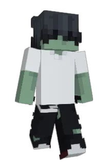 Frenzo42 Minecraft avatar full body