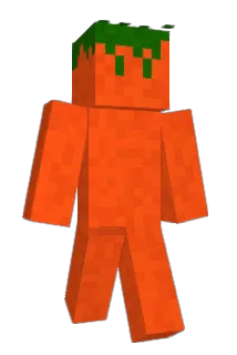 Freshified Minecraft avatar full body