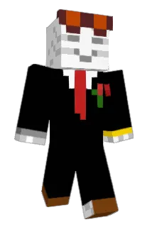 Freshupp Minecraft avatar full body