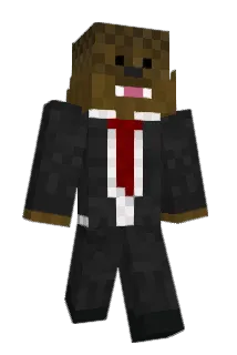 FriZZy23 Minecraft avatar full body