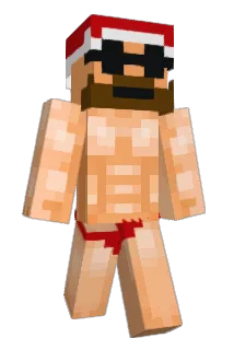 Fridolin0911 Minecraft avatar full body