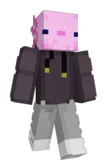 Friendly_Pigeon Minecraft avatar full body