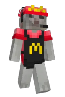 FrieseVis Minecraft avatar full body