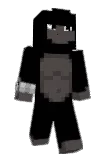 Fripons Minecraft avatar full body