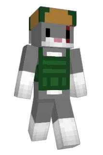 FriskyBunnyBoy Minecraft avatar full body