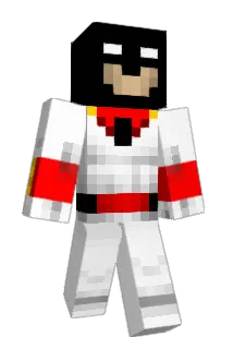 Fritsh Minecraft avatar full body