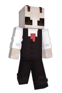 Froginajam Minecraft avatar full body