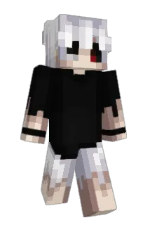 FroisPT Minecraft avatar full body