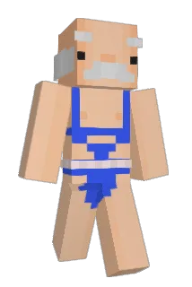 Frollinoo Minecraft avatar full body