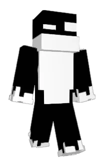 Froshyy Minecraft avatar full body