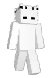 FroztXD Minecraft avatar full body