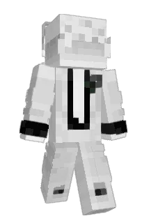 Frwzy Minecraft avatar full body