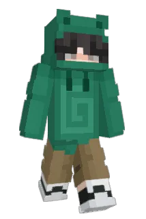 Fry1o Minecraft avatar full body
