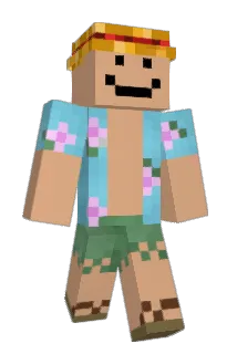 FryZze Minecraft avatar full body