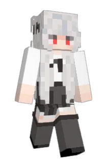 Fscg Minecraft avatar full body