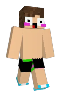 FuJicasa Minecraft avatar full body