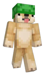 Custom render preview