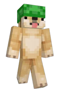 FuKonat Minecraft avatar full body