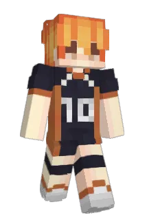 Fuji_Fox_ Minecraft avatar full body