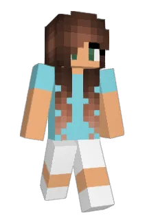FulgerCars Minecraft avatar full body