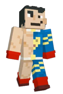 FullGrown8329 Minecraft avatar full body