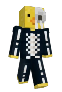 FullyBizarre Minecraft avatar full body