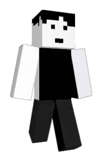 FunctionKey Minecraft avatar full body