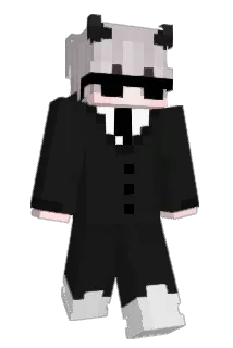 FunctionalAdam Minecraft avatar full body