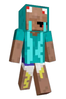 Funky008 Minecraft avatar full body