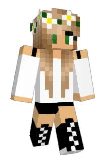 FunkySwed Minecraft avatar full body